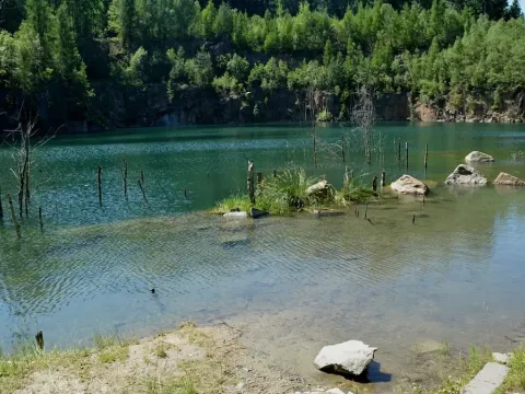 Prodej rybníku, Lipová, 49797 m2