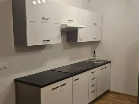 Pronájem bytu 1+kk, Praha - Karlín, Breitfeldova, 37 m2