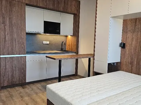 Pronájem bytu 2+kk, Praha - Michle, Na úlehli, 42 m2