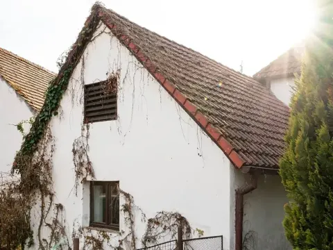Prodej ubytování, Podmokly, 98 m2