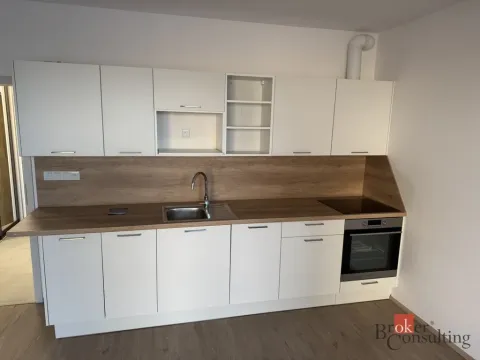 Pronájem bytu 1+kk, Plzeň, Železná, 40 m2