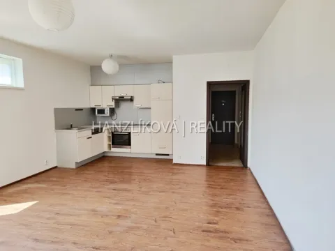 Pronájem bytu 2+kk, České Budějovice - České Budějovice 3, Klavíkova, 51 m2