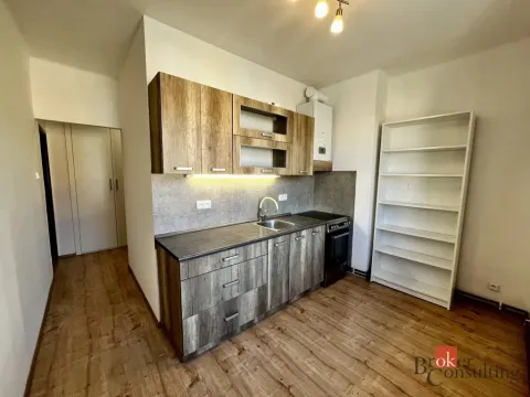 Pronájem bytu 2+1, Louny, Tomanova, 56 m2