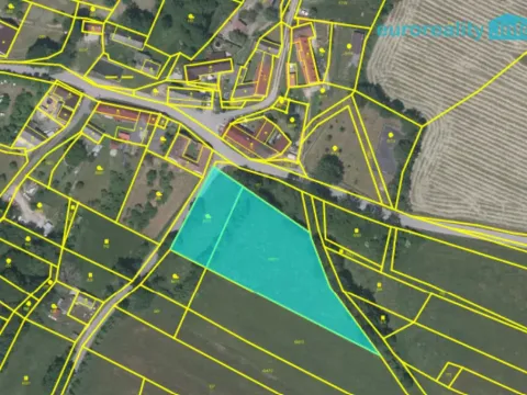 Prodej pozemku pro bydlení, Bílsko - Netonice, 4553 m2