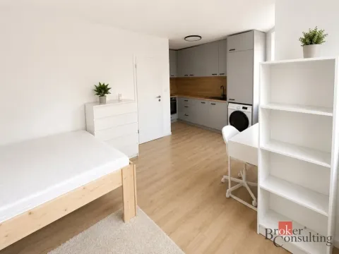 Pronájem bytu 1+kk, Opava, 25 m2