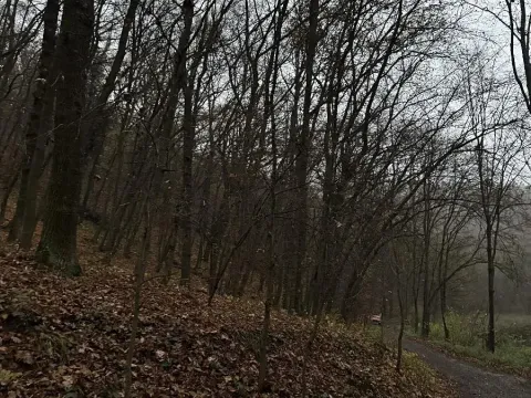 Prodej podílu lesa, Praha, 4596 m2