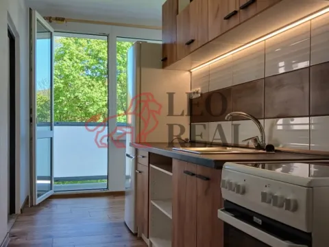 Pronájem bytu 2+1, Úštěk - Konojedy, 54 m2