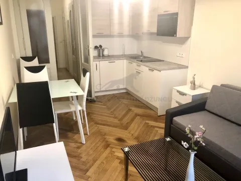 Pronájem bytu 1+kk, Praha - Josefov, Elišky Krásnohorské, 22 m2
