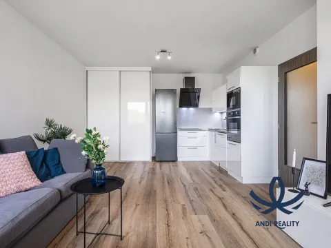 Pronájem bytu 1+kk, Mladá Boleslav, Laurinova, 35 m2