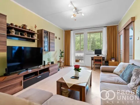 Prodej bytu 3+1, Vsetín, Dolní Jasenka, 70 m2