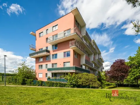 Pronájem bytu 4+kk, Praha - Horní Měcholupy, R.A. Dvorského, 116 m2