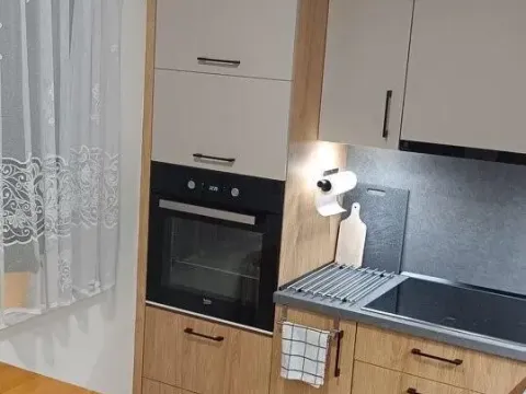 Prodej bytu 2+1, Orlová - Lutyně, Masarykova třída, 59 m2