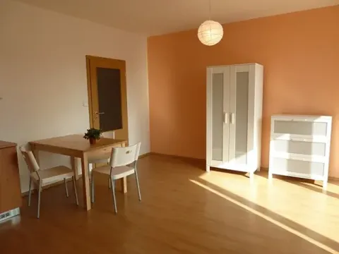 Pronájem bytu 1+kk, Brno, Božetěchova, 34 m2