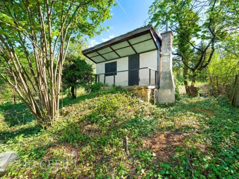 Prodej zahrady, Brno - Černovice, Vinohradská, 1746 m2