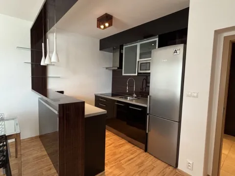 Pronájem bytu 2+kk, Hradec Králové, Rybova, 55 m2