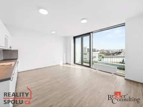 Pronájem bytu 1+kk, Plzeň - Jižní Předměstí, Železná, 42 m2