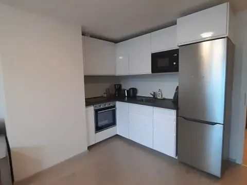 Pronájem bytu 1+kk, Praha - Žižkov, Hartigova, 37 m2