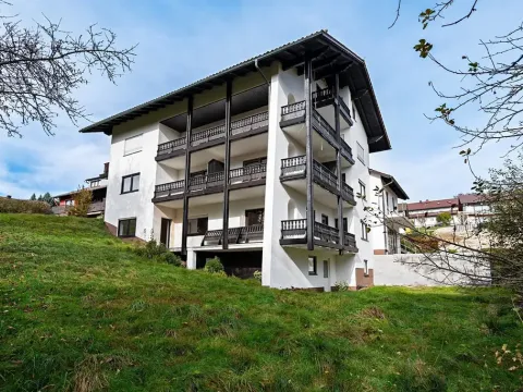 Prodej bytu 2+kk, Železná Ruda, 51 m2