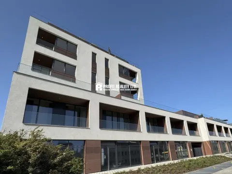 Pronájem bytu 1+kk, Praha - Žižkov, Malešická, 50 m2