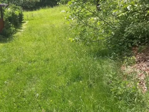 Prodej pozemku pro bydlení, Staré Křečany - Nové Křečany, 1800 m2