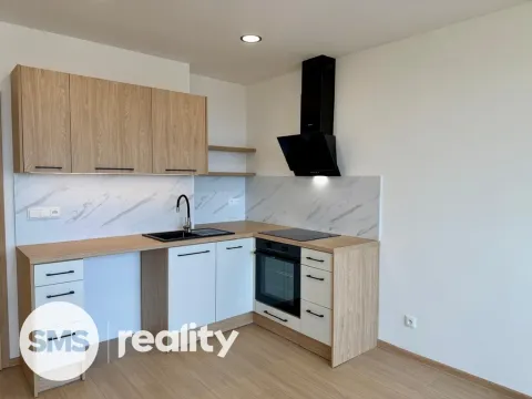 Pronájem bytu 1+kk, Frýdek-Místek - Frýdek, Novodvorská, 32 m2