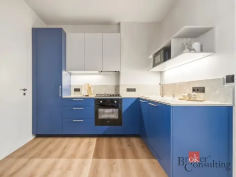 Prodej bytu 1+1, Praha - Vinohrady, náměstí Jiřího z Lobkovic, 44 m2