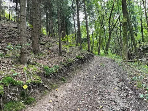 Dražba lesa, Záhoří, 3816 m2