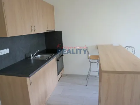 Pronájem bytu 1+kk, České Budějovice - České Budějovice 2, Labská, 27 m2