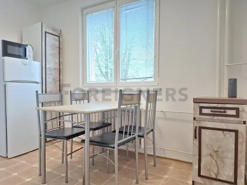 Pronájem bytu 2+1, Olomouc, Pionýrská, 45 m2