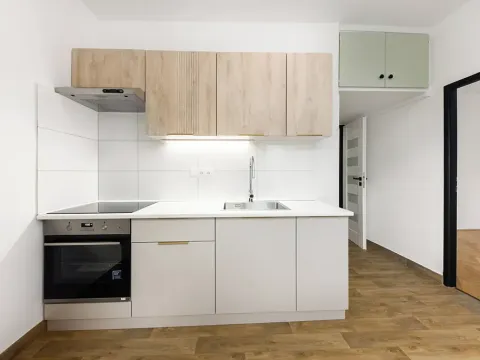 Prodej bytu 2+1, Brno, Výstavní, 55 m2