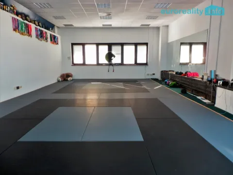 Pronájem obchodního prostoru, Praha - Stodůlky, Mukařovského, 347 m2