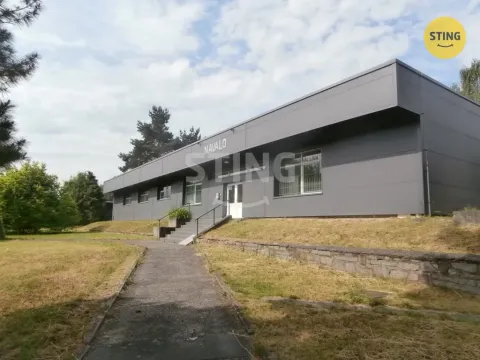 Prodej výrobních prostor, Ostrava, Radvanická, 555 m2