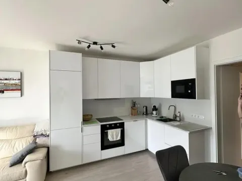 Pronájem bytu 2+kk, Praha - Žižkov, Hartigova, 55 m2