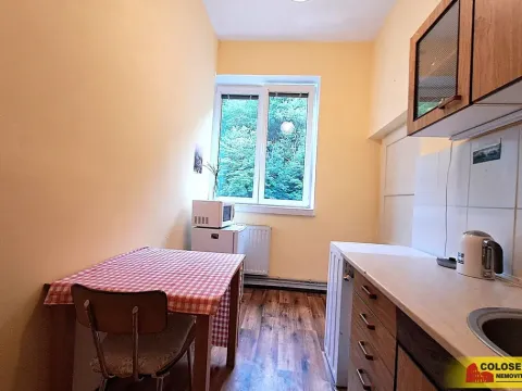 Pronájem bytu 1+1, Adamov, 19 m2