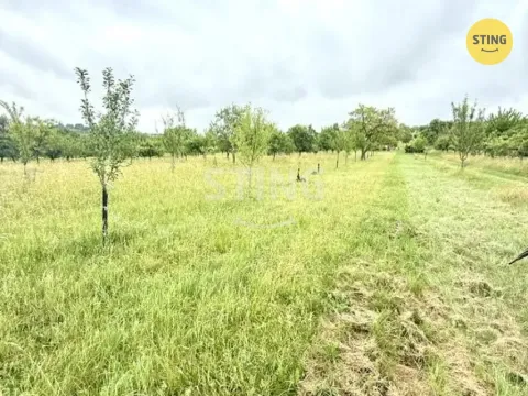 Prodej sadu/vinice, Strážnice, 4194 m2