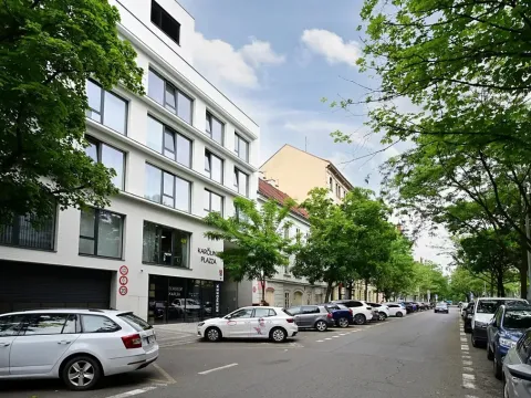 Pronájem garážového stání, Praha - Karlín, Křižíkova, 15 m2