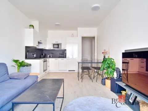 Pronájem bytu 2+kk, České Budějovice - České Budějovice 6, Chelčického, 48 m2