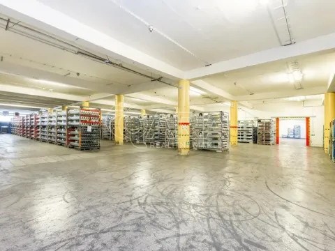Pronájem výrobních prostor, Písek - Budějovické Předměstí, U Vodárny, 1840 m2