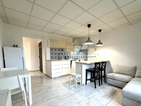 Pronájem bytu 2+kk, Ostrava - Moravská Ostrava, Nedbalova, 48 m2