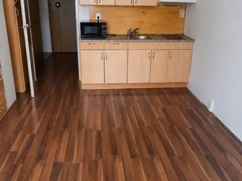 Prodej bytu 1+kk, České Budějovice - České Budějovice 2, Dlouhá, 27 m2