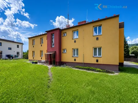 Prodej bytu 1+1, Frýdlant nad Ostravicí, Padlých hrdinů, 39 m2