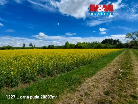 Prodej pole, Pňov-Předhradí - Pňov, 142115 m2