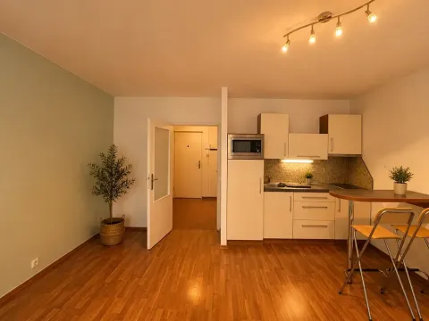 Prodej bytu 1+kk, Brno, Blatnická, 31 m2