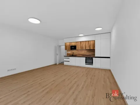 Pronájem bytu 2+kk, Plzeň - Jižní Předměstí, Železná, 63 m2