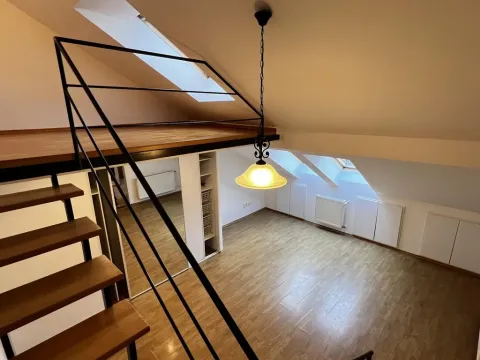 Pronájem bytu 1+kk, Praha - Žižkov, Vlkova, 41 m2