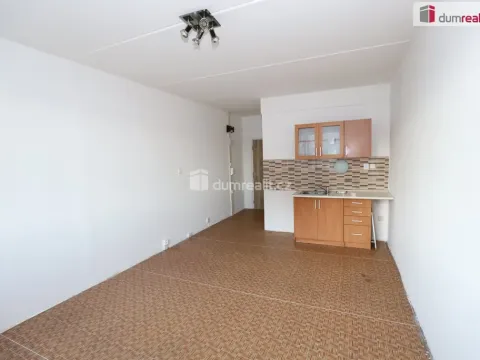 Pronájem bytu 1+kk, Cheb, Přátelství, 25 m2