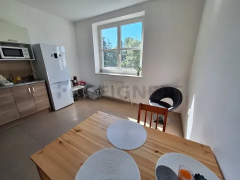 Pronájem bytu 2+1, Olomouc, Lazecká, 80 m2