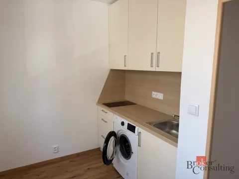 Pronájem bytu 1+1, Horní Bříza, Jedlová, 32 m2