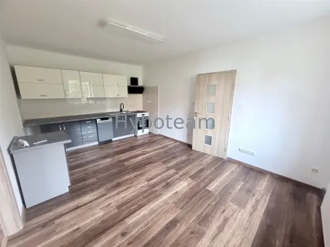 Pronájem bytu 2+kk, Ústí nad Labem, okres ústí nad labem, Resslova, 52 m2