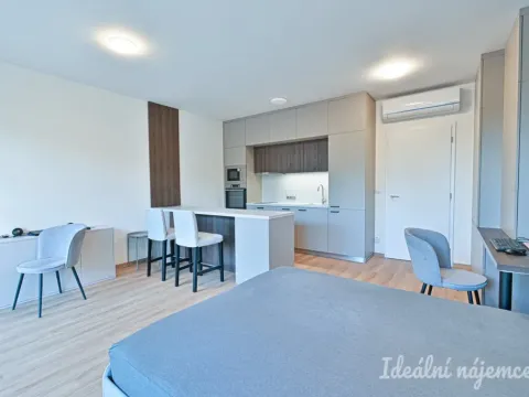 Pronájem bytu 1+kk, Brno, Hybešova, 39 m2